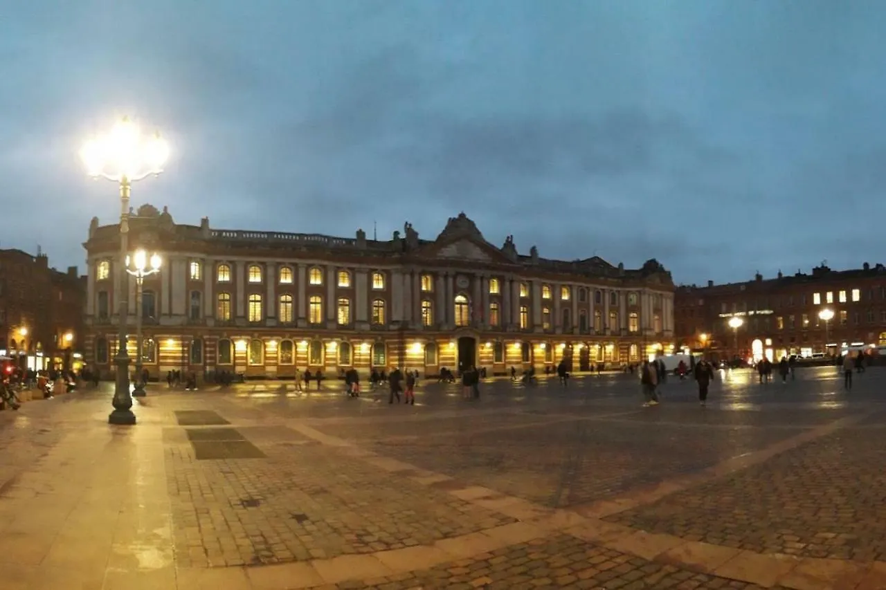 Apartment :) Grand Studio Lumineux A Toulouse Et Parking France
