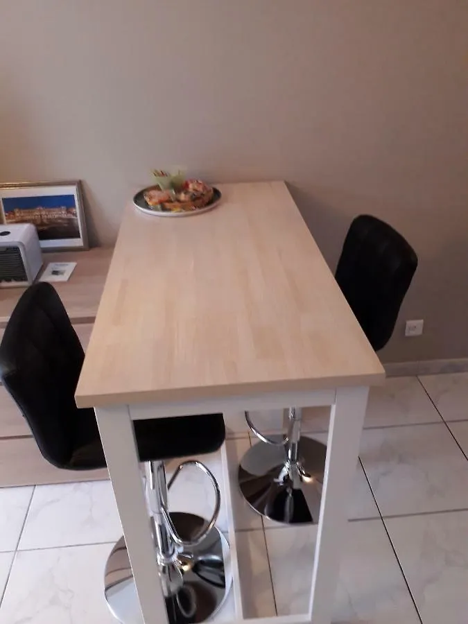 :) Grand Studio Lumineux A Toulouse Et Parking Apartment
