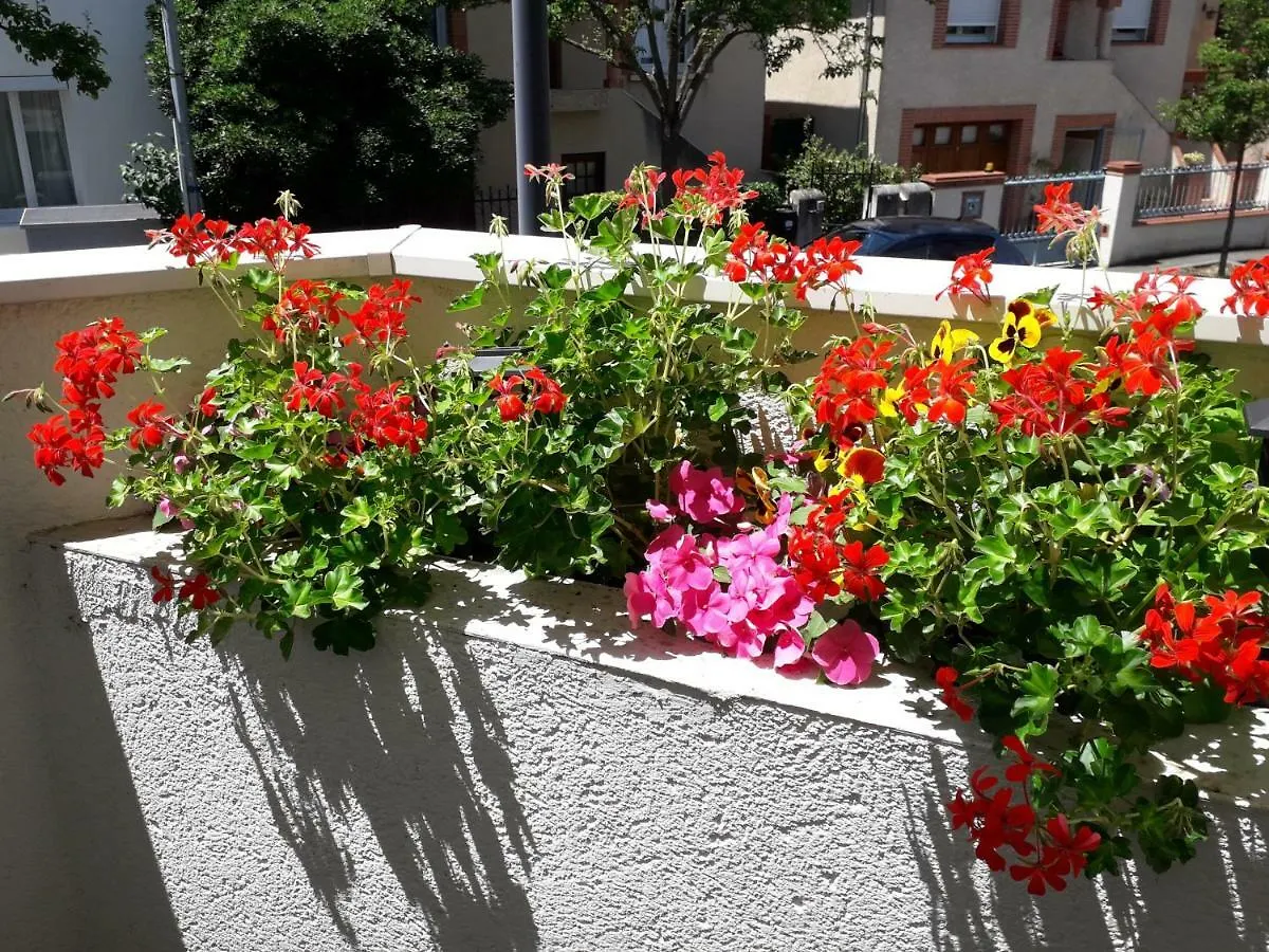 Apartment :) Grand Studio Lumineux A Toulouse Et Parking